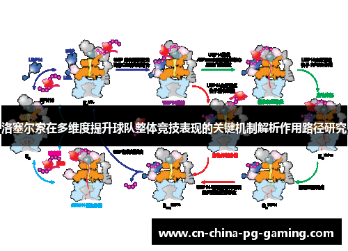 洛塞尔索在多维度提升球队整体竞技表现的关键机制解析作用路径研究 洛塞尔索在多维度提升球队整体竞技表现的关键机制解析作用路径研究