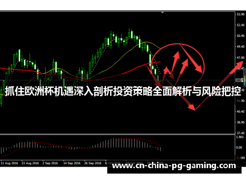 抓住欧洲杯机遇深入剖析投资策略全面解析与风险把控