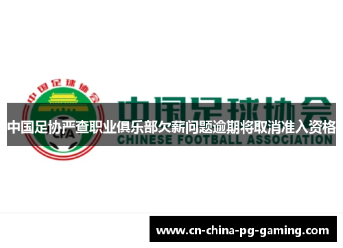 中国足协严查职业俱乐部欠薪问题逾期将取消准入资格