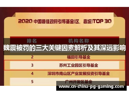 魏震被罚的三大关键因素解析及其深远影响
