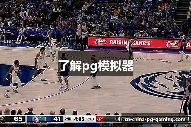 了解pg模拟器